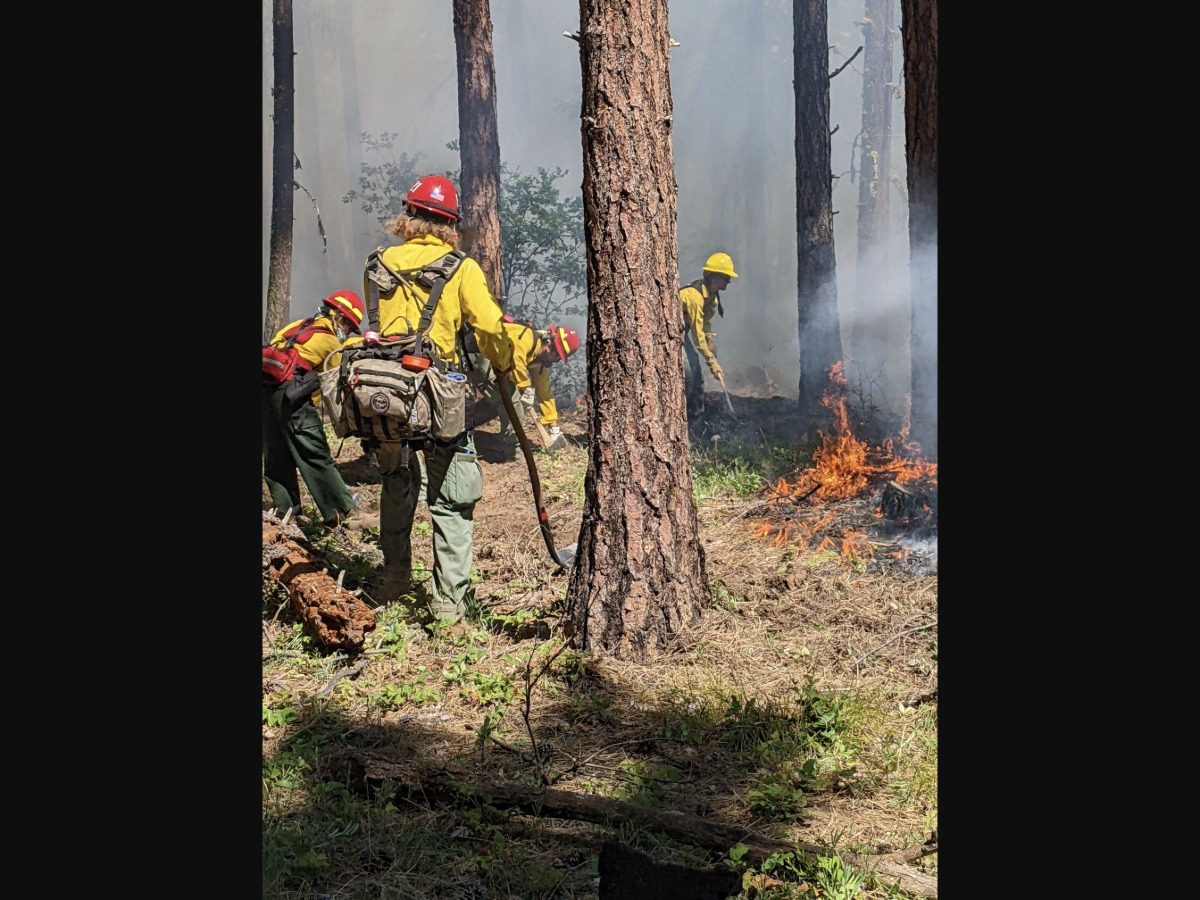 firefighter